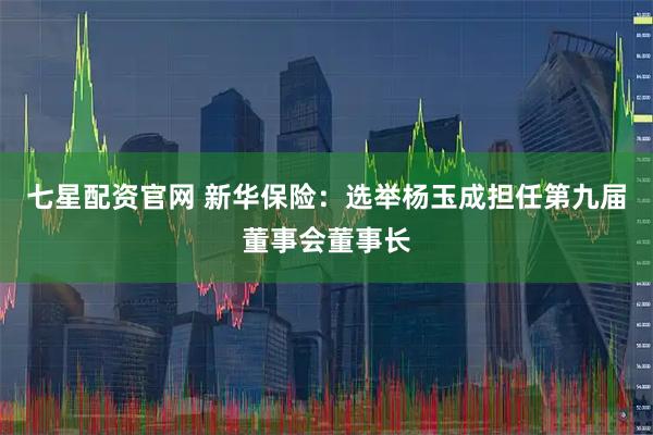 七星配资官网 新华保险：选举杨玉成担任第九届董事会董事长