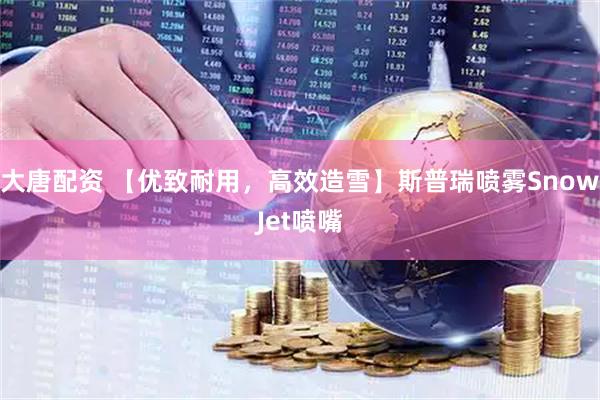 大唐配资 【优致耐用，高效造雪】斯普瑞喷雾SnowJet喷嘴