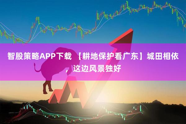 智股策略APP下载 【耕地保护看广东】城田相依，这边风景独好