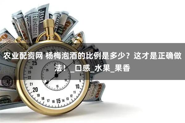 农业配资网 杨梅泡酒的比例是多少？这才是正确做法！_口感_水果_果香