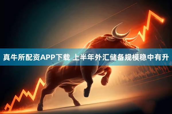 真牛所配资APP下载 上半年外汇储备规模稳中有升